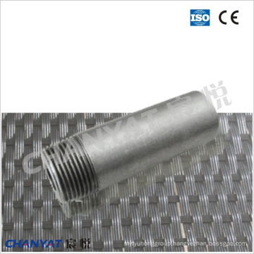 A312 (TP304, TP316, TP321) Stainless Steel Ecc. Pipe Threaded Nipple